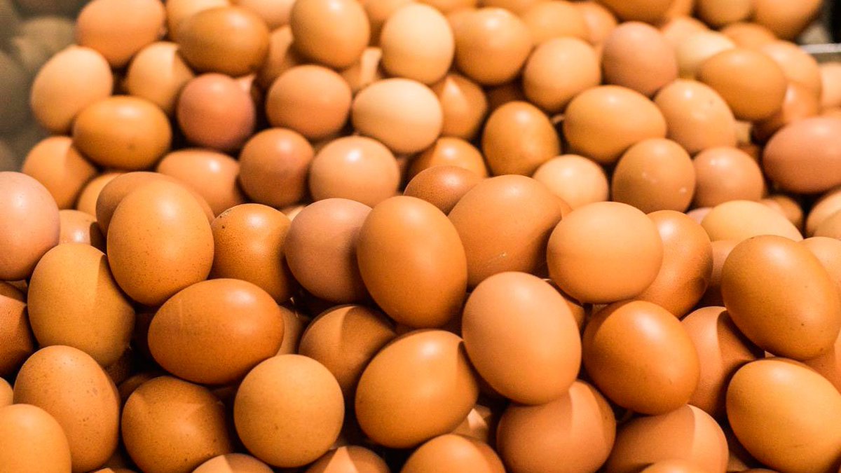 Sarcasmo
La ministra de Agricultura, <a href="/MCarvajalinoV/">Martha Carvajalino</a>, compró tres millones de huevos para regalar a familias vulnerables. Tiene más huevos que Uribe, que apenas le dejó tres a Santos. ¿Recuerdan?