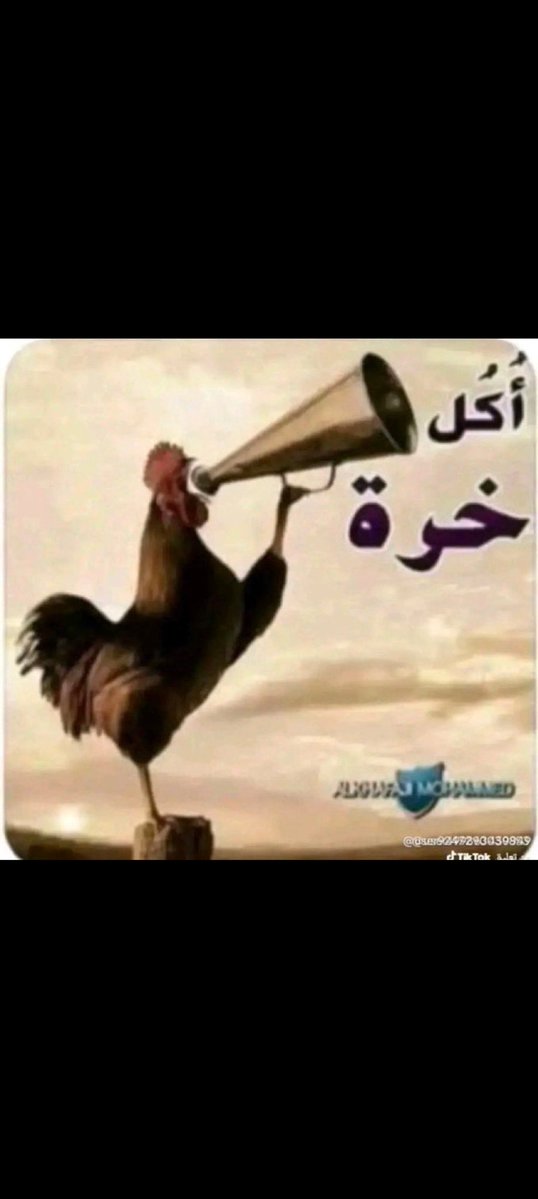 بوسعود الصعب tweet media