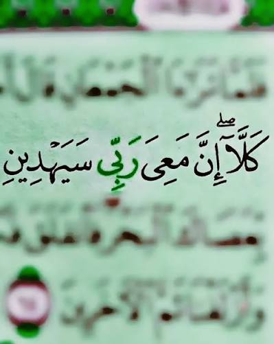 وعي قرآني. tweet media
