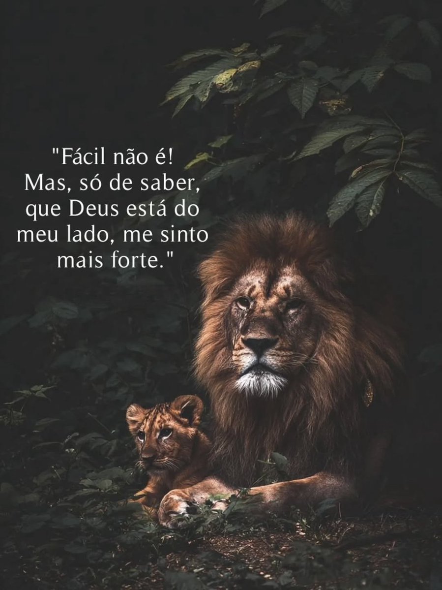 Cristo Vive ✟ (@cristov1ve) on Twitter photo 