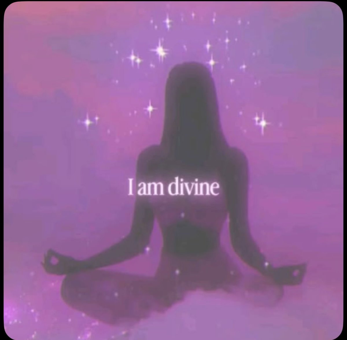 AbundanceMuse tweet media