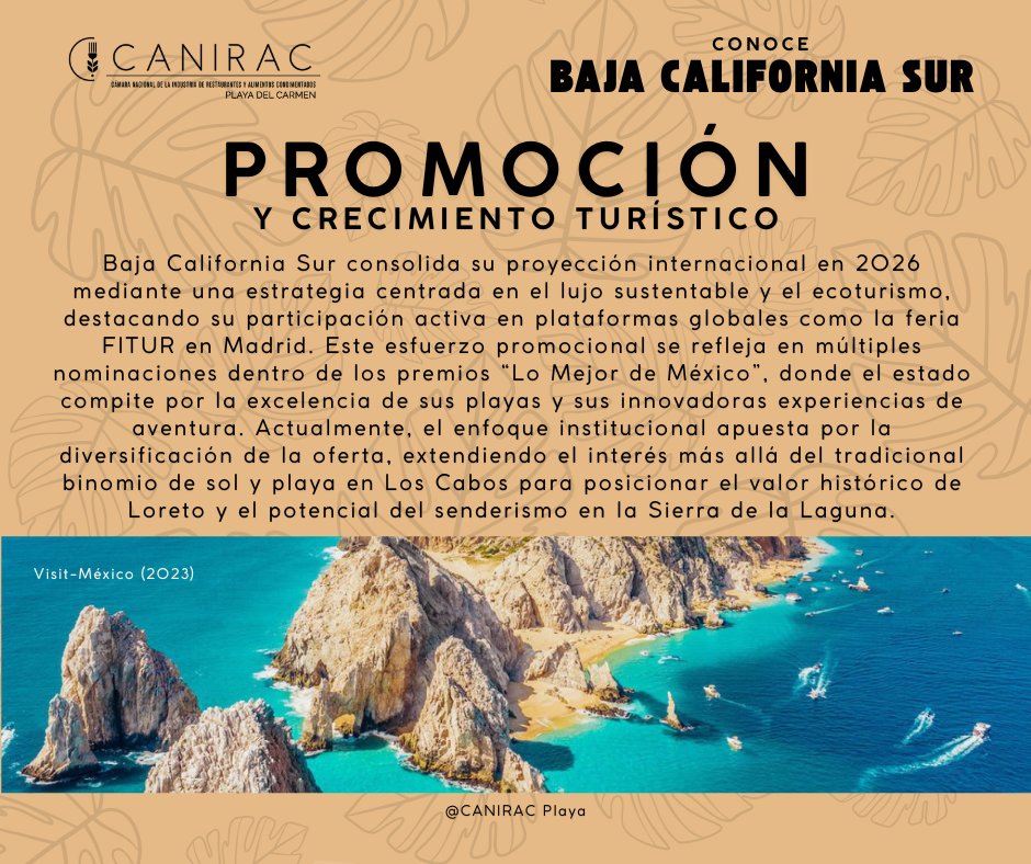 CANIRAC Playa tweet media
