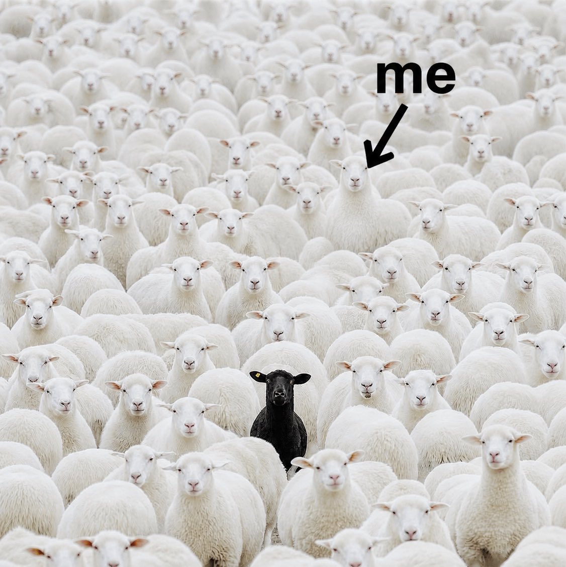 in a world where everyone is against mbappe i choose to be part of the world.
