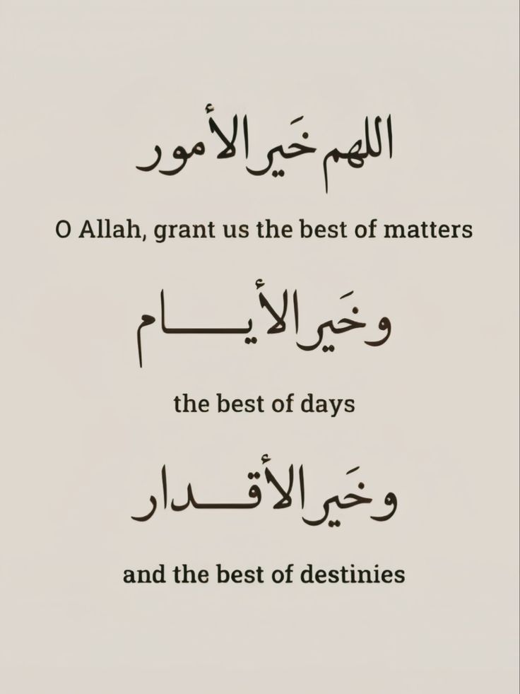 مُطمئِنةَ.! tweet media