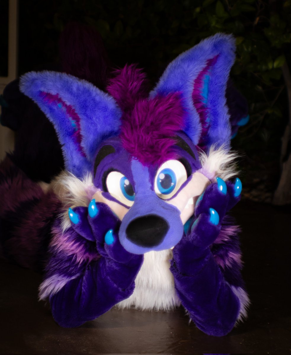 🔞 🐾 Stimky Purple Yeen tweet media