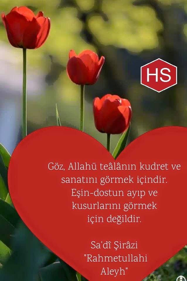ZeynepNaz🦋 tweet media