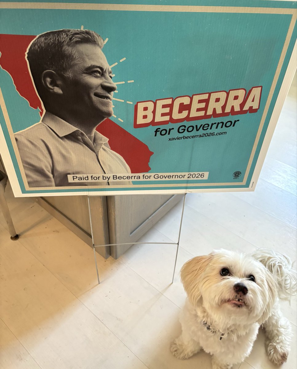 LulaMayBeHolly's tweet image. My pup JOEY is super excited that Becerra leads in NEW CA DEM tracker poll! (Tied w Hilton)! And my yard sign just arrived too!  Let’s gooo!  WOO HOO WOOF !  #BecerraEra #California #BecerraForGovernor