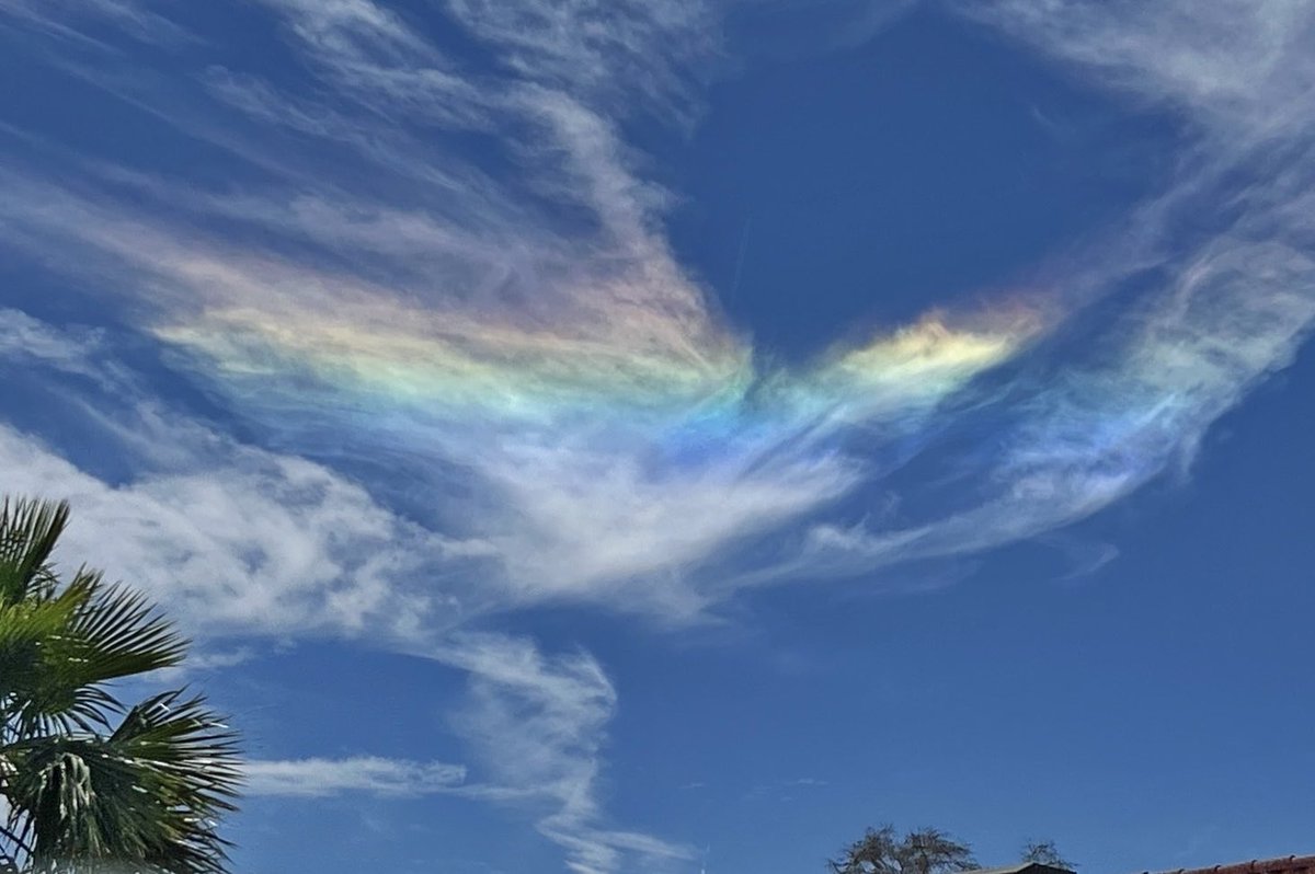 elguerolanchero's tweet image. #lookup #colors My wife captured this colorful Iridescent cloud #vegas #clouds