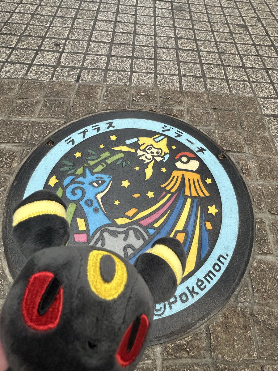 おはようございます。昨日上げられずにいたポケふたを紹介するぜ