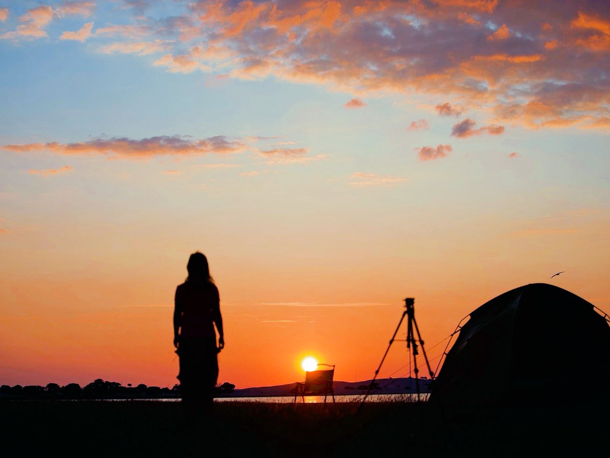 farahaide's tweet photo. Traded late-night scrolls for sunrise walks—now my days start with birdsong instead of blue light  #NewRoutine #SlowLiving https://t.co/LxHo4uOpsI