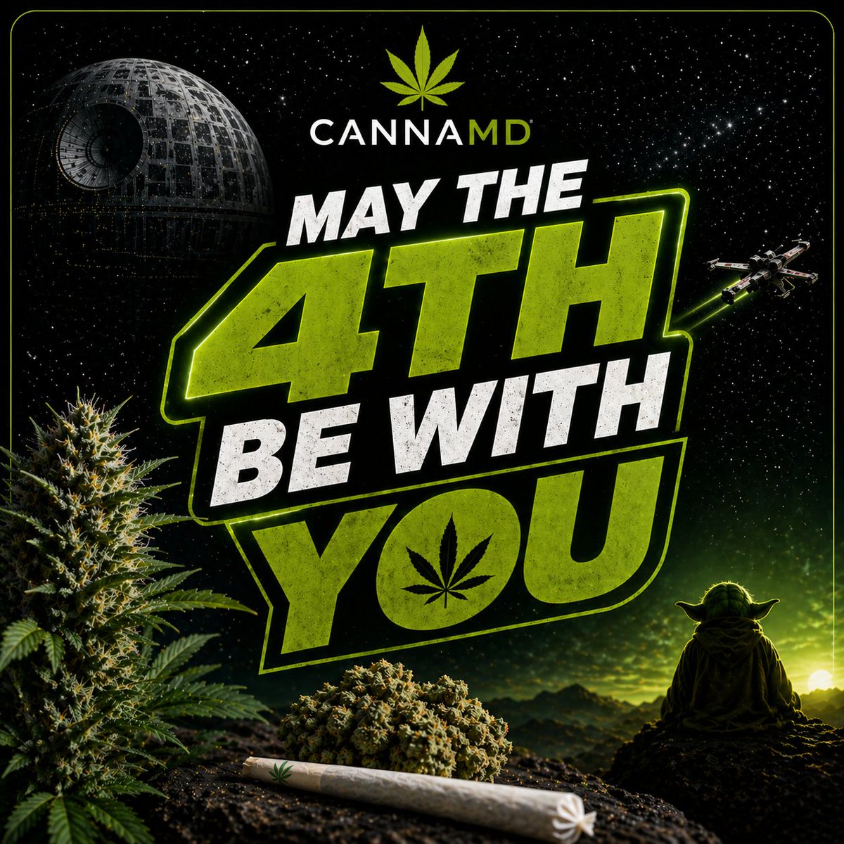 MyCannaMD's tweet photo. May the 4th be with you 💫

From young Padawans to Jedi Masters, may your focus be steady and your day a little more legendary.

Happy Star Wars Day! 

#CannaMD #MayThe4th #StarWarsDay #FloridaMMJ #MMJ https://t.co/EZIBqmT34Z