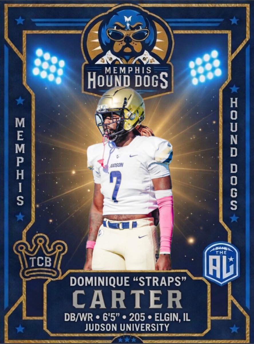 Memphis Hound Dogs tweet media
