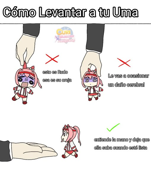 Información real de Tokai Teio tweet media