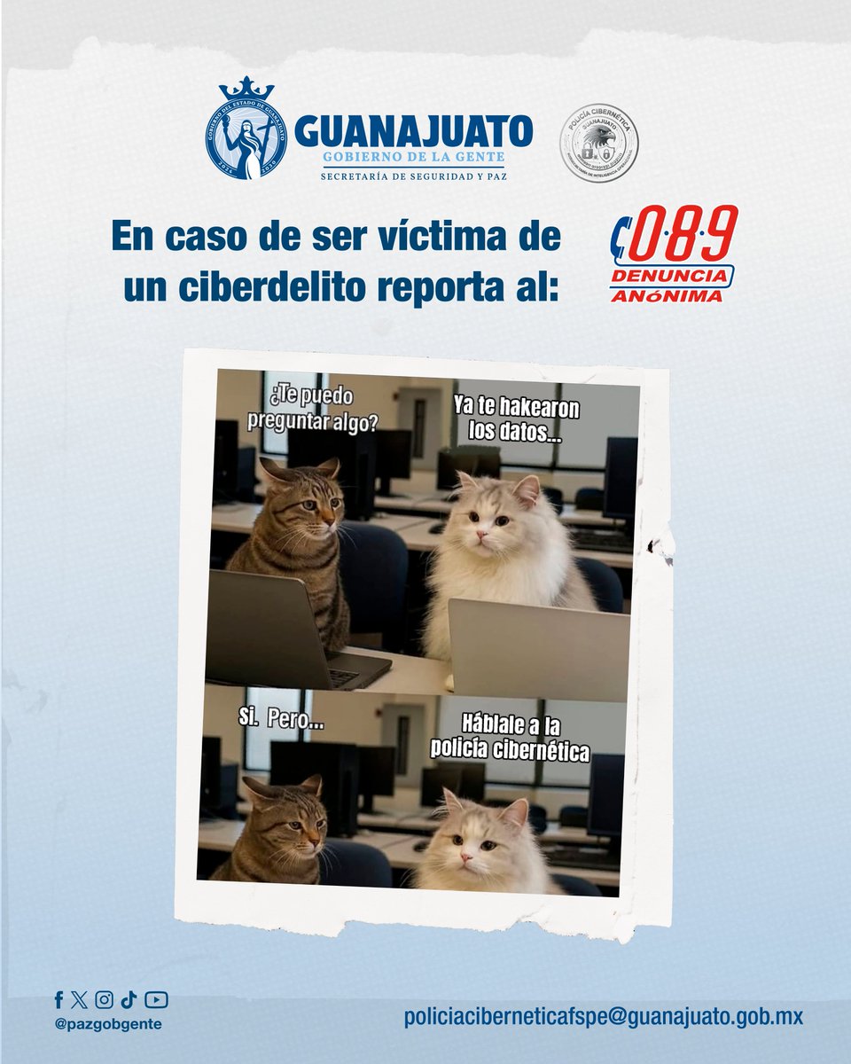 pazgobgente's tweet image. 📲🛍️ ¿Harás compras en línea? Toma en cuenta estos consejos para proteger tu bolsillo y tranquilidad.

📞 Reporte 089 | Emergencias 9-1-1
#CONFIA #GuanajuatoenPaz #GobiernodelaGente #ComprasenLínea