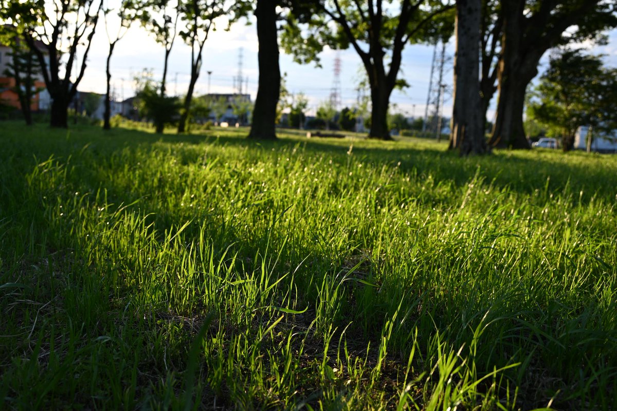 Ruriiro822416's tweet image. #写真好きな人と繋がりたい　
#photo #photograph #nikon

🔆｡°

それぞれの今日へ
ご移動は
お気をつけて
行ってらっしゃ~い　.☕︎𓈒𓂂𓏸

🚶‍♀️…*⌒♪︎