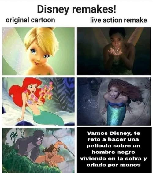 🌟 Berenice 🌟 tweet media