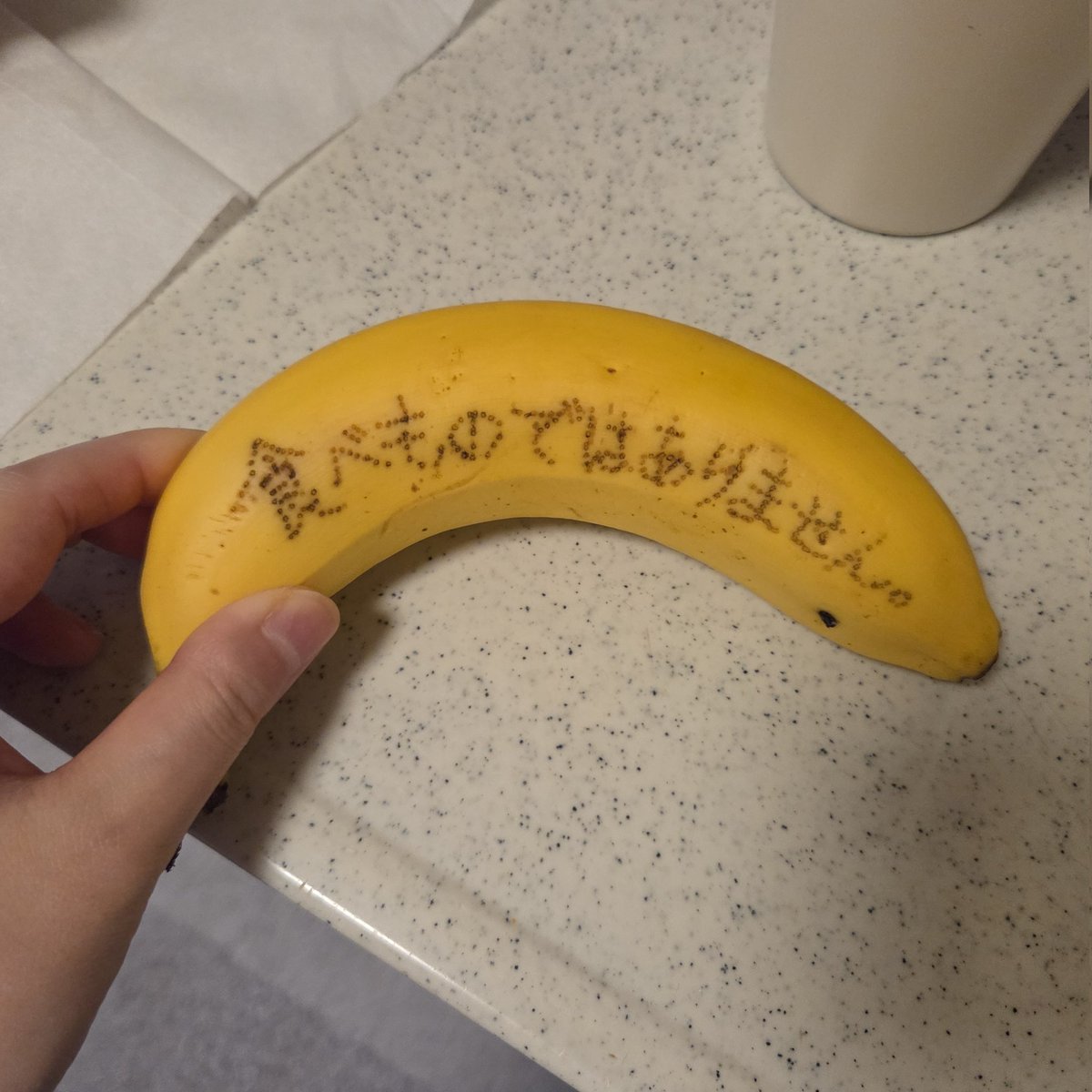 ごみぺぺ tweet media