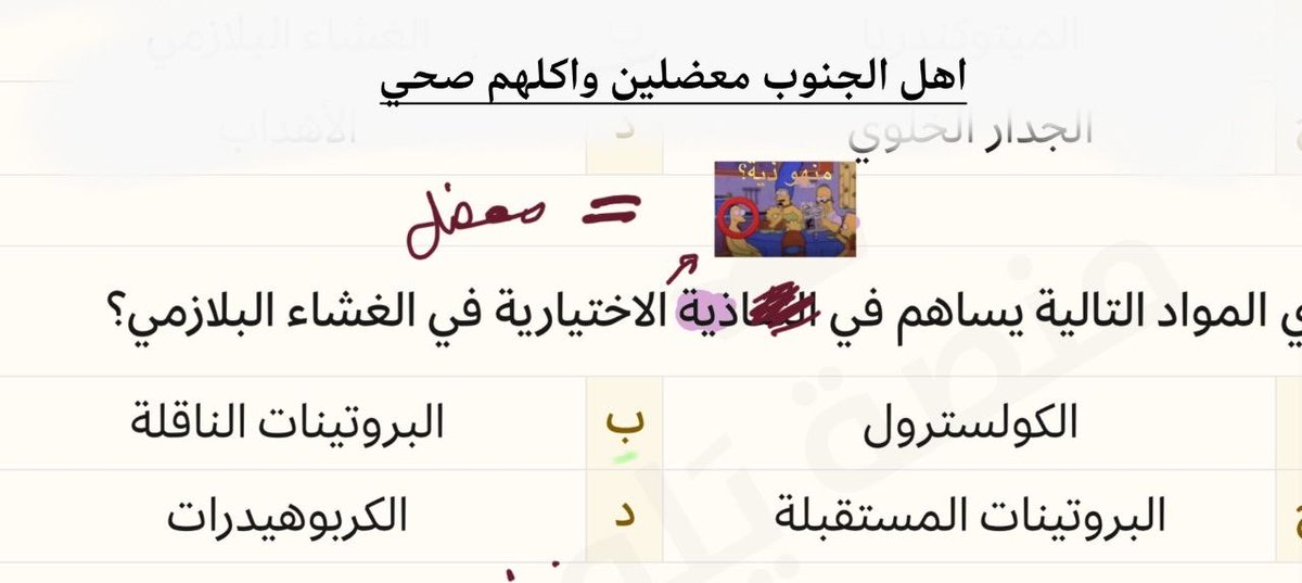 طلال🩺 tweet media