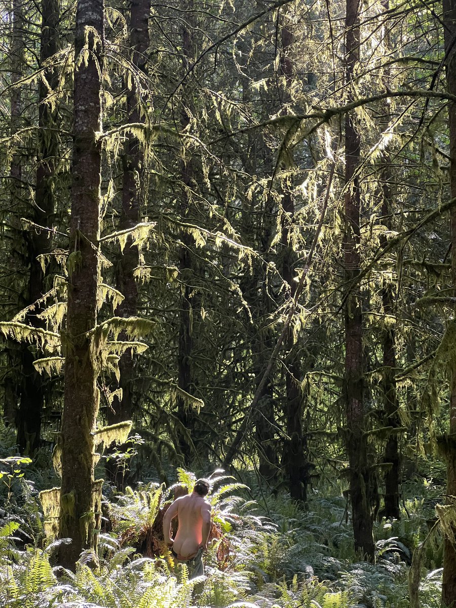 Forrest Ryder tweet media