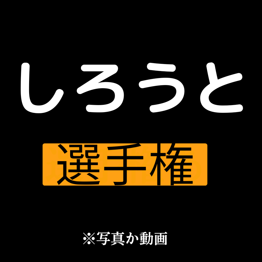 選手権 tweet media