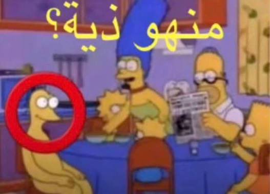 BK | بُشرى tweet media