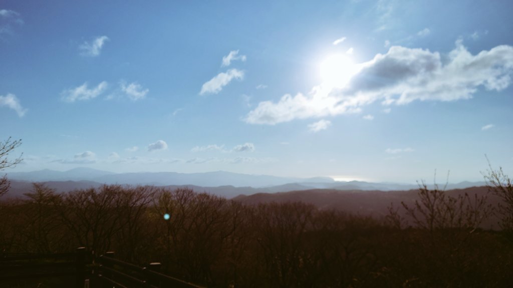 ブシドーＰ tweet media
