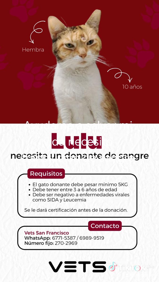 Spay Panama tweet media