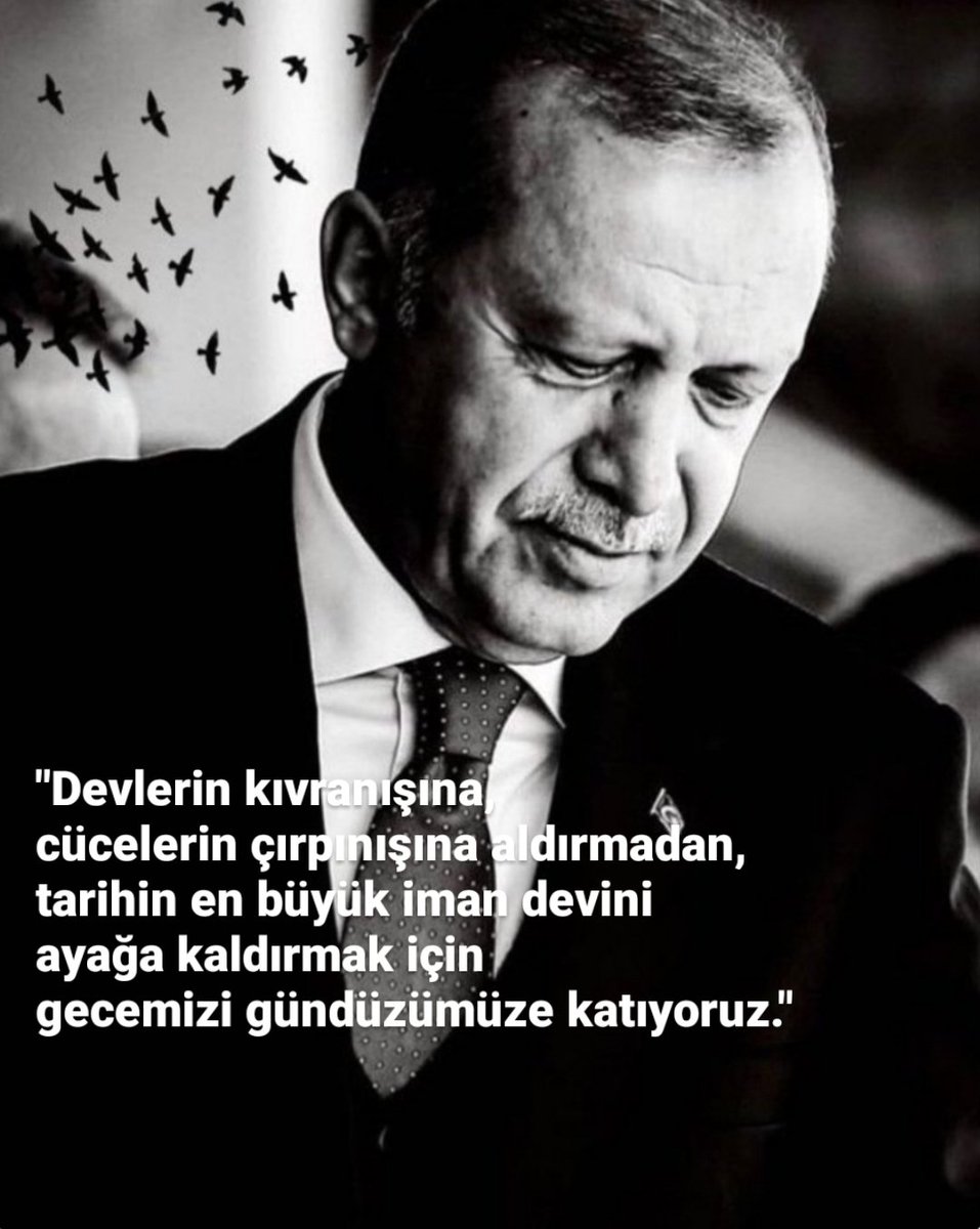 🇹🇷Mecit Pehlivan🇹🇷 tweet media