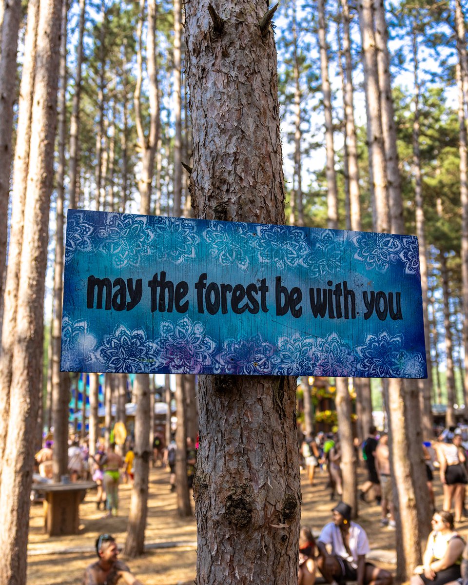 Electric Forest ⚡🌲 tweet media