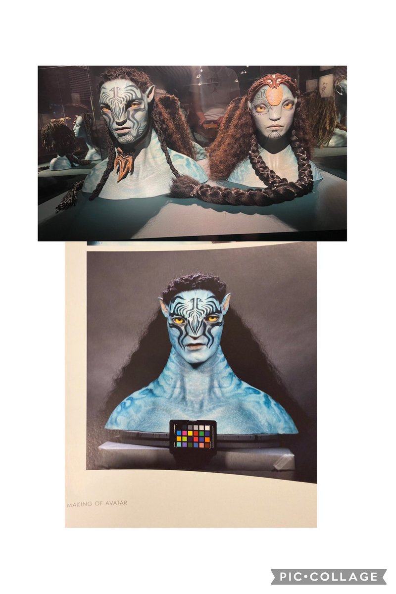 P3t3rD4Gi4nt's tweet image. I have officially achieved a point where I have seen a piece of art in real physical life and then seen it in a book🤣🤣🤣 #Avatar