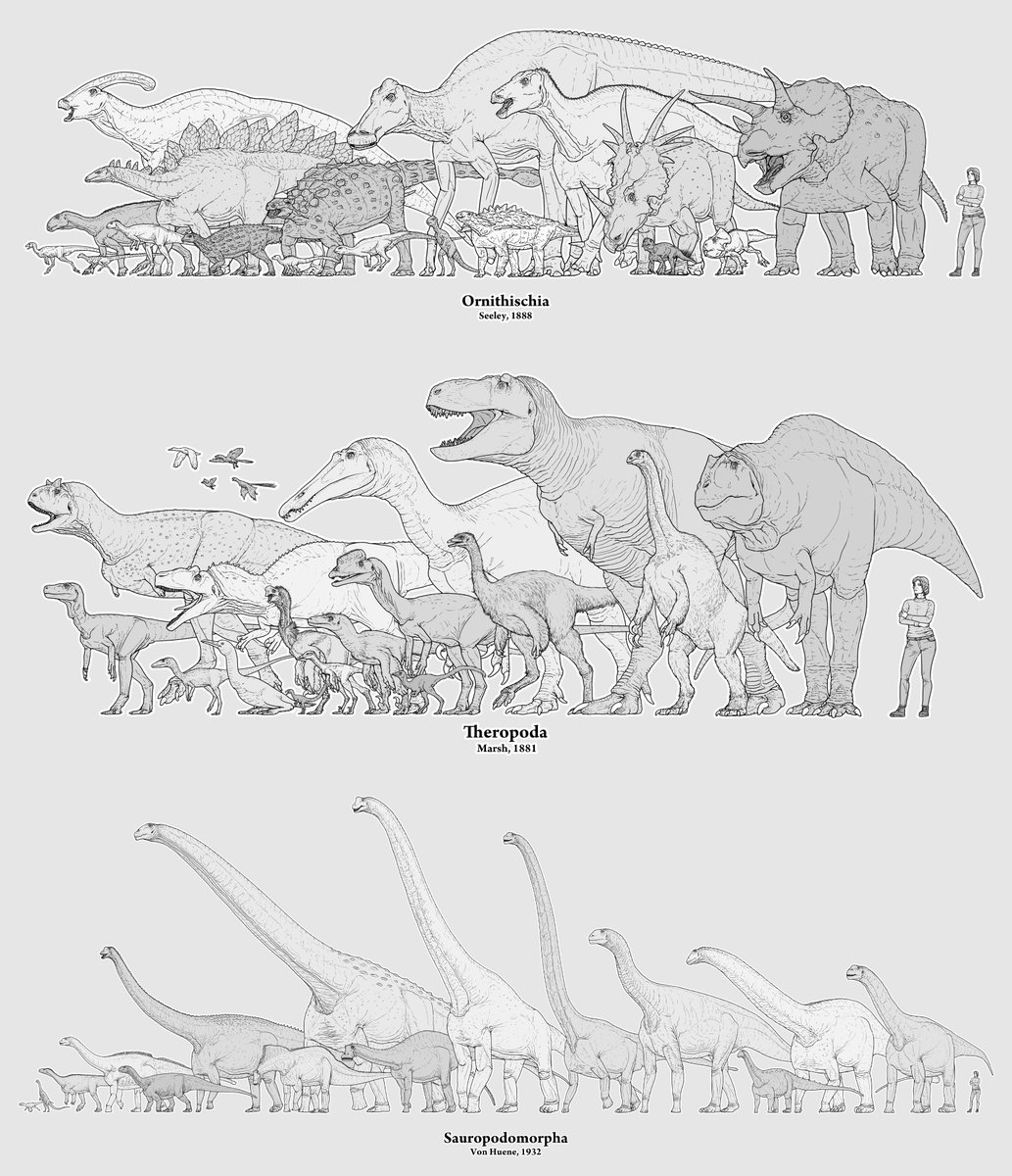Dr Matt Dempsey tweet media