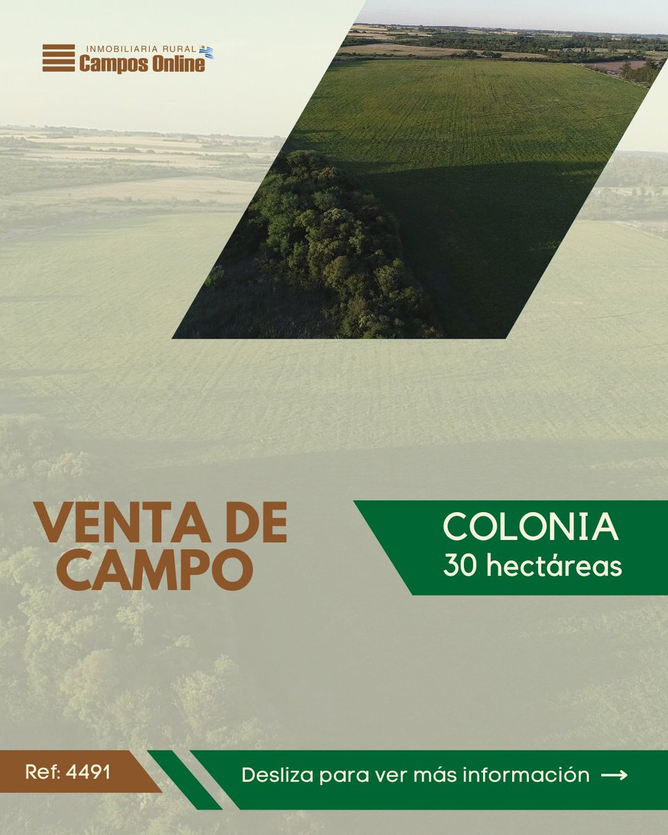 camposonlineuru's tweet photo. Por más información visite: 💻 Referencia 4491 en https://t.co/FSEirOMnAb           
                                             
O contáctenos: 📩   

🌱Inmobiliaria Rural Campos Online Uruguay 🇺🇾             
 
.       
 
#colonia  #propiedadenventa #campo https://t.co/U8hQdBL1Qw