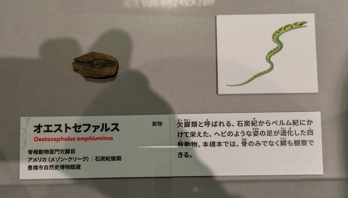 ケケT、 tweet media