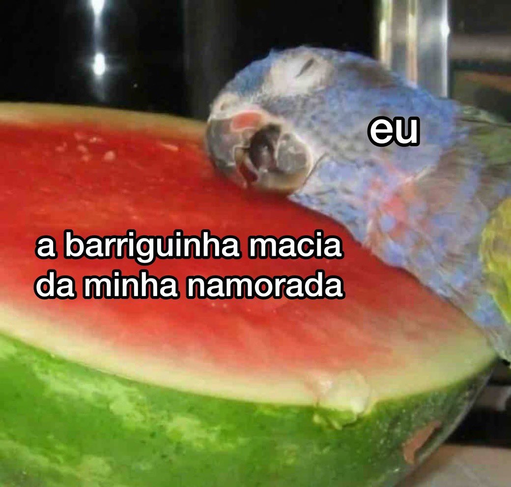 Todo dia uma gordinha tweet media