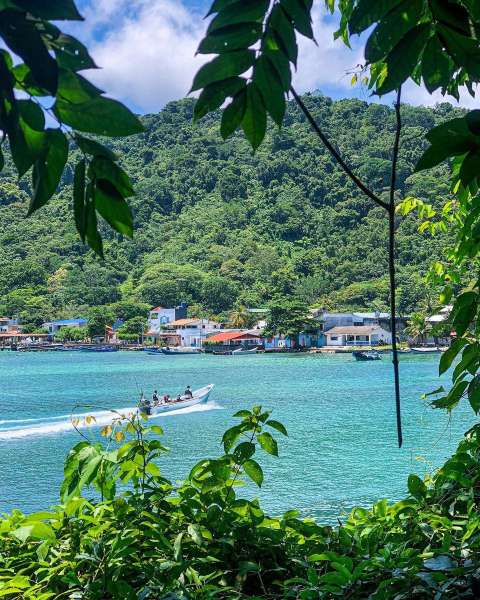 Colombia En Fotos 📸 tweet media