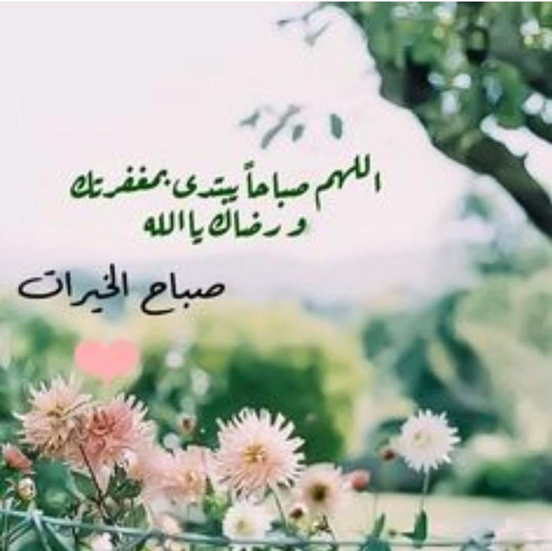 عبدالرحمن العتيق ابوفهد tweet media