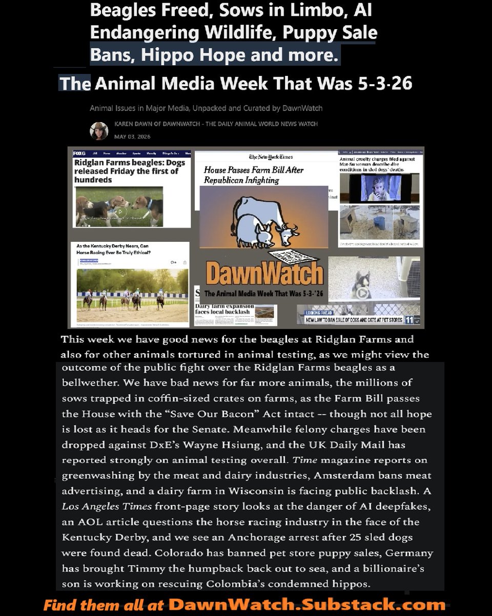 DawnWatch - Daily Animal World News Watch tweet media