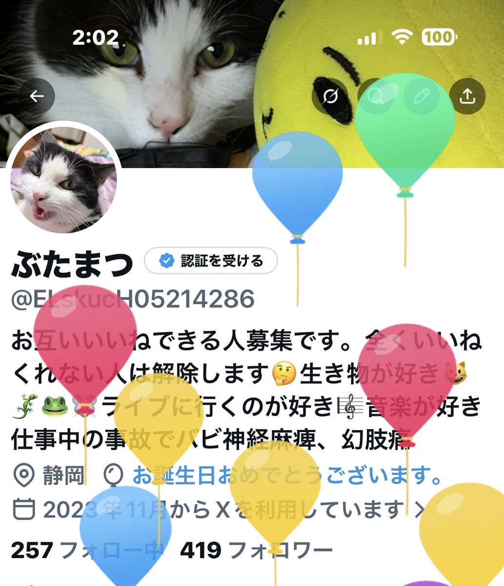 ぶたまつ tweet media