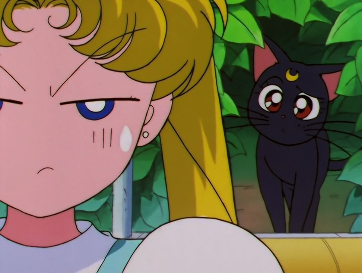 Sailor Moon Reactions 🌙 tweet media
