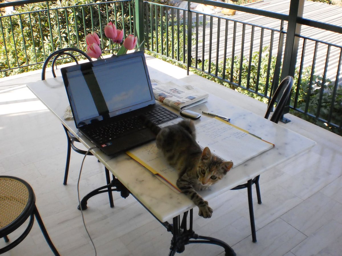 TakisMoug's tweet photo. How fast time passes… 12 years ago it was just me, a cat, and quantum mechanics notes . 🐾 https://t.co/YPBd7mz8lG