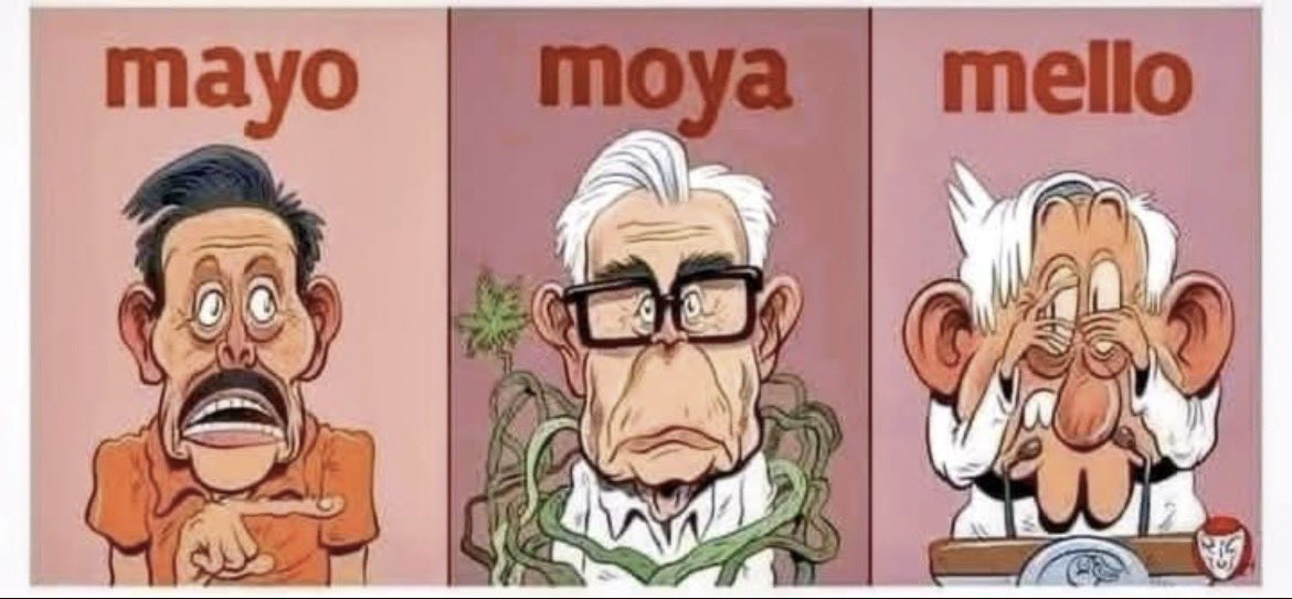 Karla Hodoyán tweet media