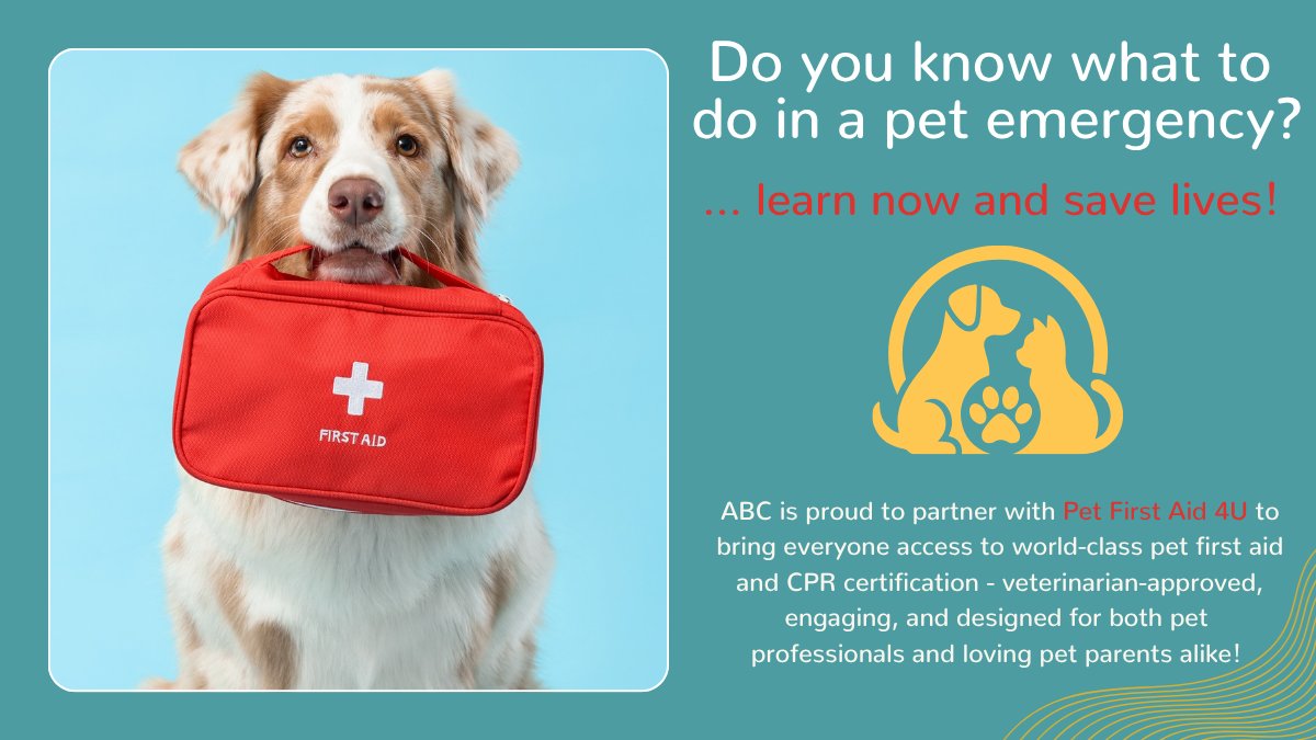 AnimalBehaviorC's tweet photo. Animal Behavior College has partnered with Pet First Aid 4 U to give you the skills that actually matter when it counts. 🩺

Dog &amp; Cat First Aid &amp; CPR Certification Course (Only $59) 👉 https://t.co/9Huw0rjt7i

#PetFirstAid #SaveALife #PetCPR #AnimalLovers #PetParents #PetSafety https://t.co/xI4C8WoO6Y
