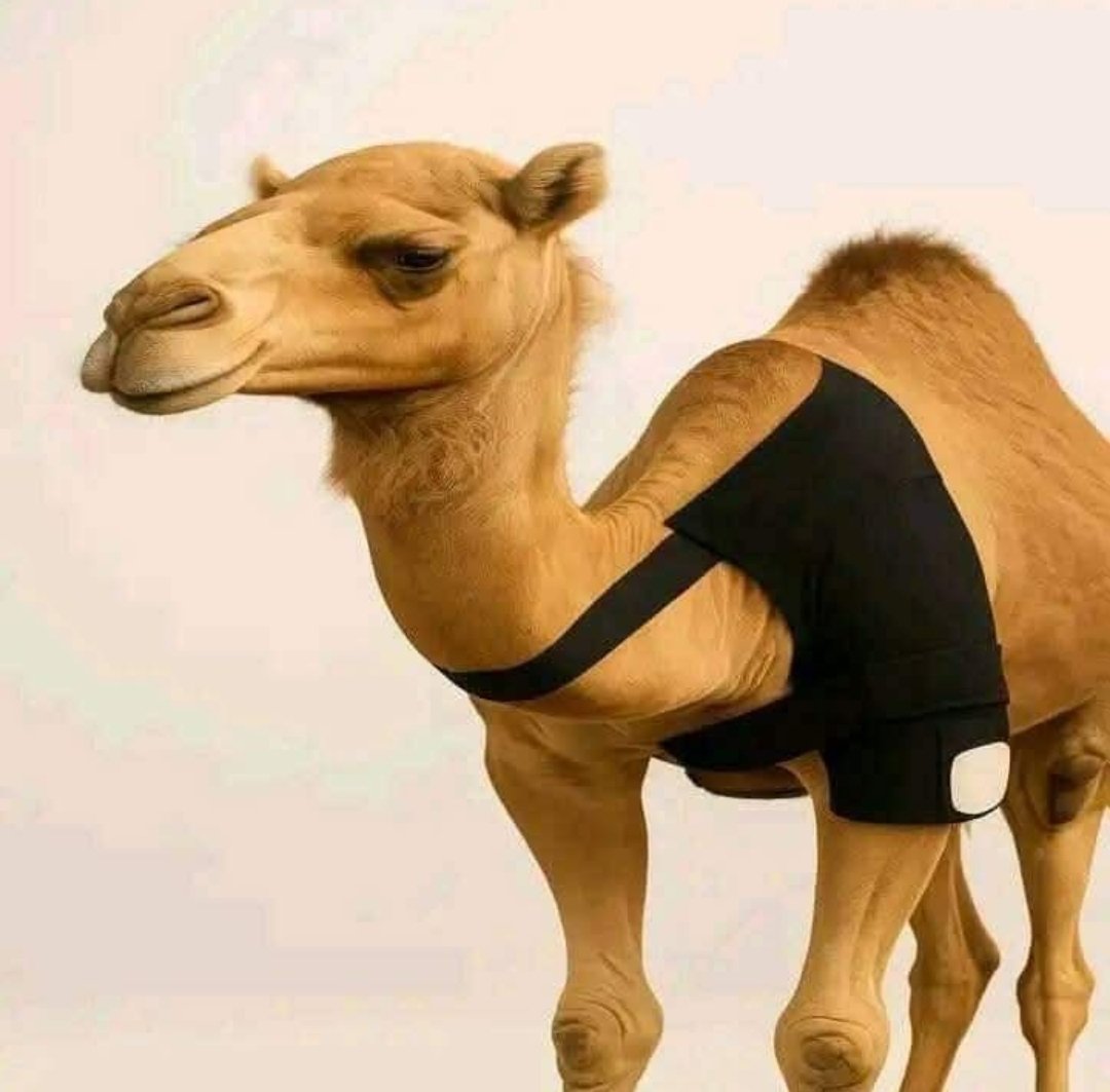 عمر tweet media