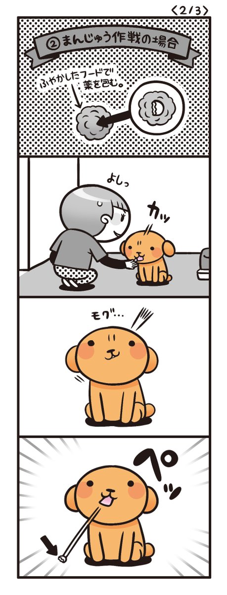 赤澤英子 tweet media