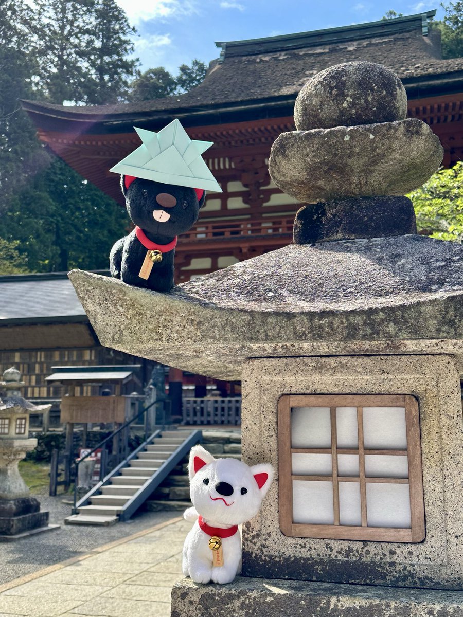 【世界遺産】丹生都比売神社 tweet media