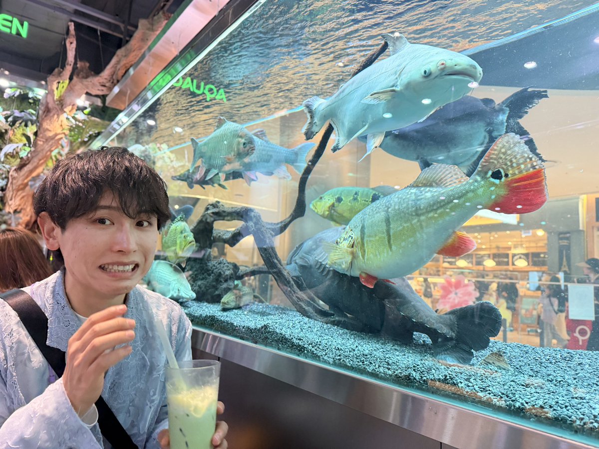 KOTOMEN / YoshiakiOkawa (コトメン/大川義秋) tweet media