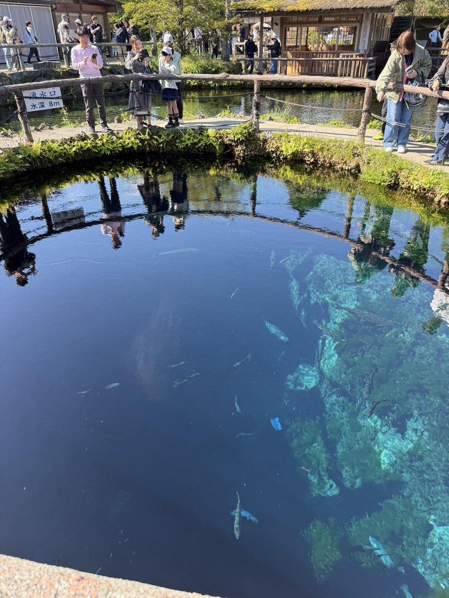 cern_poyo's tweet photo. 精進湖SUPキャンプからの、帰り道忍野八海 https://t.co/HNXsHEF1Ra