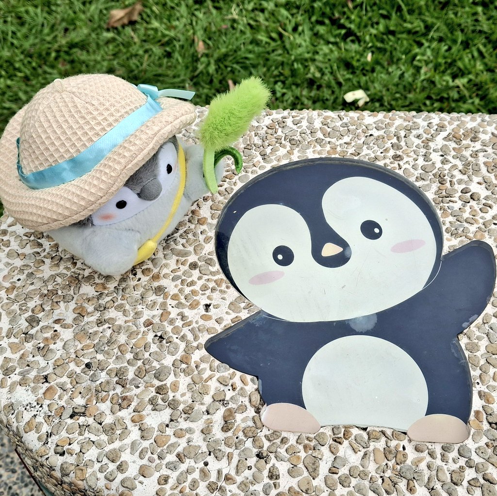 🐧
