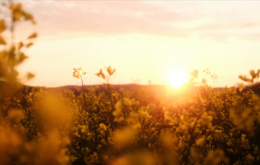 ShannonHypnotic's tweet image. Your body stores trauma as a frozen physiological state and to heal we must reconnect with the body. Rediscover your best self through hypnotherapy. shannon-doyle.com/toxic-relation… 
#hypnosis #hypnotherapy #toxicrelationships #toxicpeople #toxicfamily