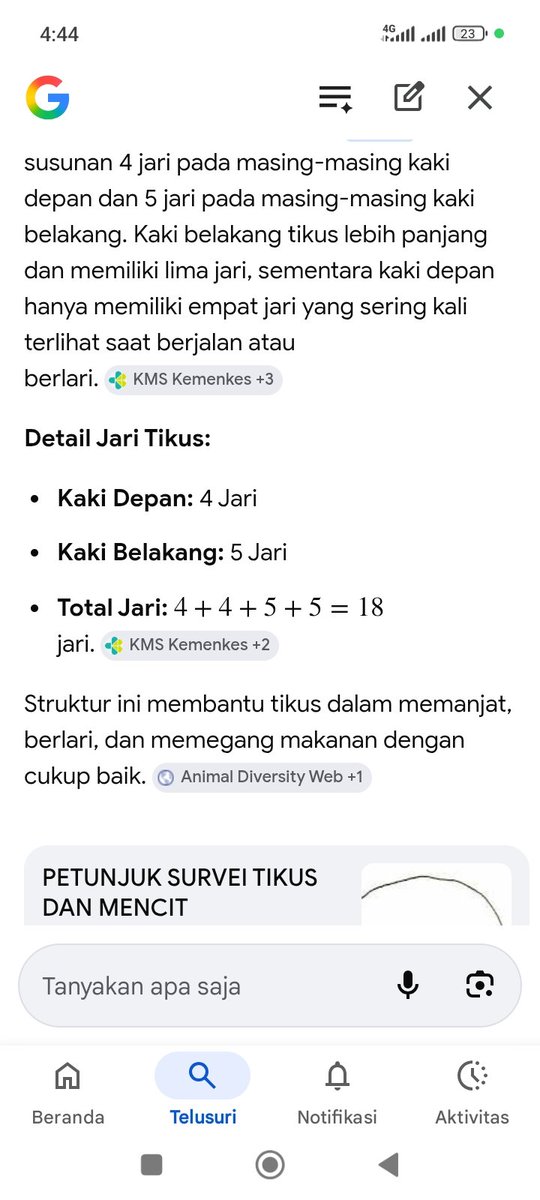 Monokrom tweet media